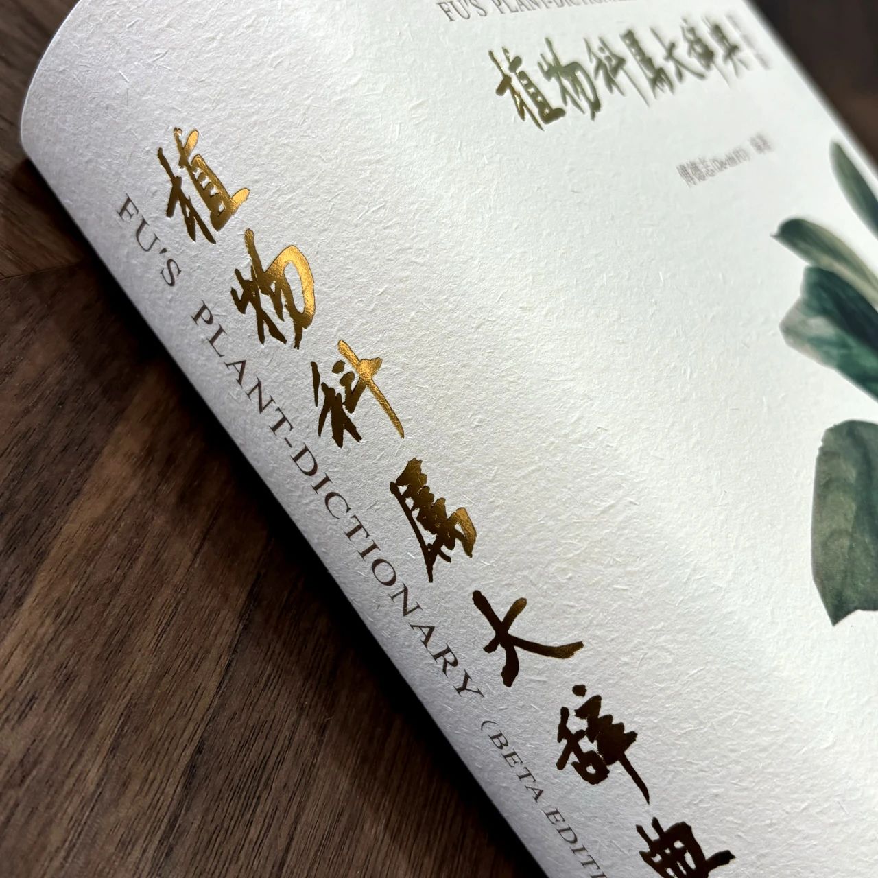 園芸植物大辞典　６冊セット ENCYCLOPEDIA OF FLOWERS Ⅵ 植物図鑑｜青幻舎 SEIGENSHA Art