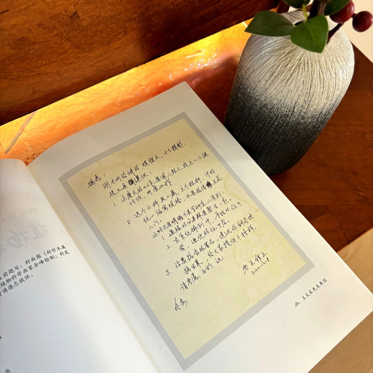 園芸植物大辞典　６冊セット 園芸植物大事典［コンパクト版］ | 書籍 | 小学館